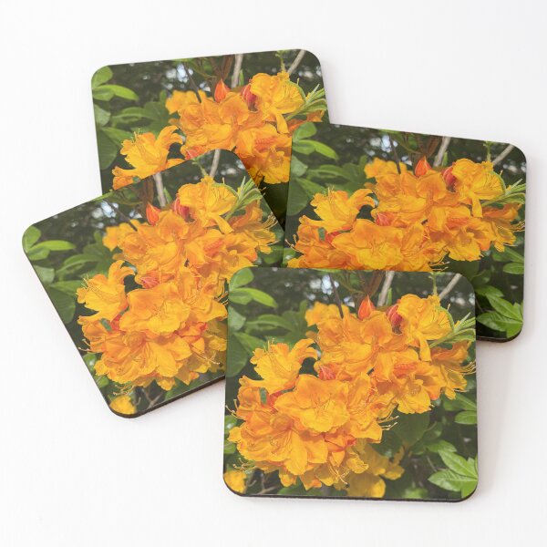 Item preview, Vibrant Orange Azaleas in Bloom designed and sold by veraD58.