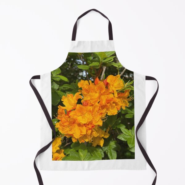 Item preview, Vibrant Orange Azaleas in Bloom designed and sold by veraD58.