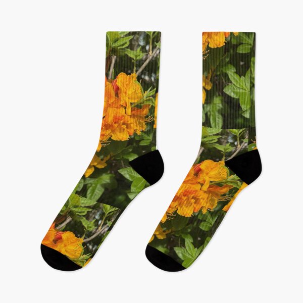 Item preview, Vibrant Orange Azaleas in Bloom designed and sold by veraD58.