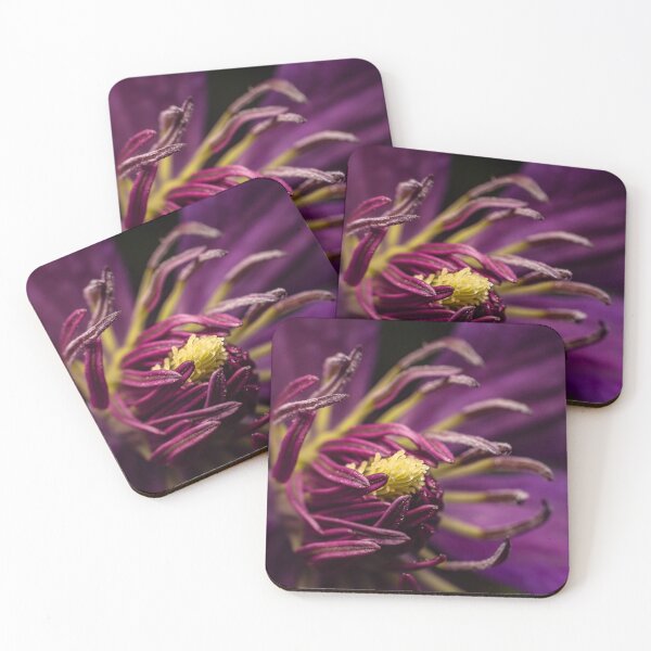 Item preview, Heart of Purple — Clematis Macro in Gold and Violet designed and sold by Rabee Khalil Photography.