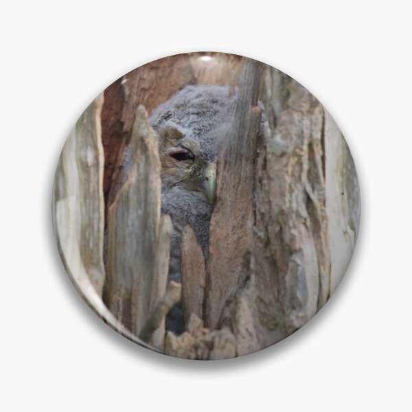 Item preview, Tawny Owlet in Hiding designed and sold by RedGrouse.