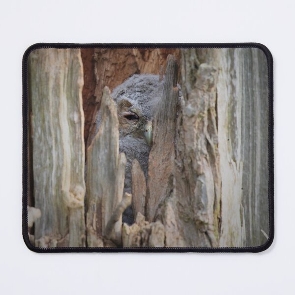 Item preview, Tawny Owlet in Hiding designed and sold by RedGrouse.