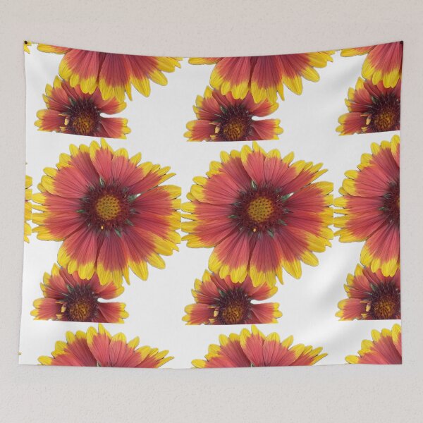 Item preview, Vibrant Gaillardia Blanket Flowers Isolated on White Background designed and sold by BalkanBloom.