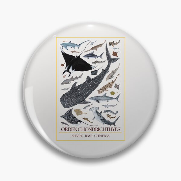 Item preview, Chondrichthyes Order - Redesign designed and sold by PatronesKawai.