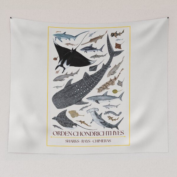 Item preview, Chondrichthyes Order - Redesign designed and sold by PatronesKawai.