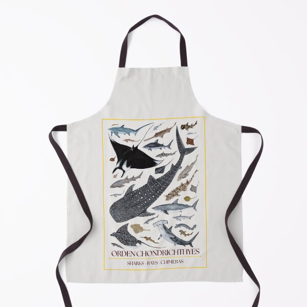 Item preview, Chondrichthyes Order - Redesign designed and sold by PatronesKawai.