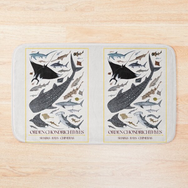 Item preview, Chondrichthyes Order - Redesign designed and sold by PatronesKawai.