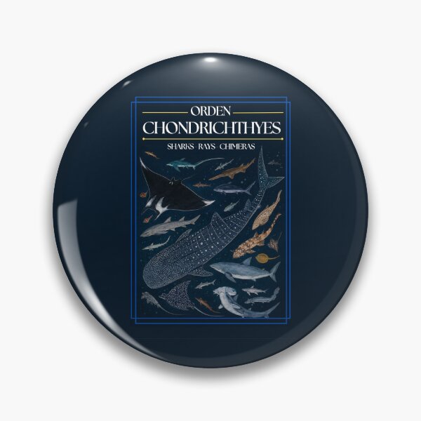 Item preview, Chondrichthyes Order - Redesign designed and sold by PatronesKawai.