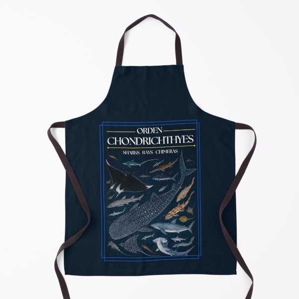 Item preview, Chondrichthyes Order - Redesign designed and sold by PatronesKawai.