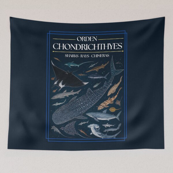 Item preview, Chondrichthyes Order - Redesign designed and sold by PatronesKawai.