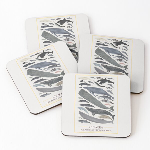 Item preview, Infra-order Cetaceans - redesign designed and sold by PatronesKawai.