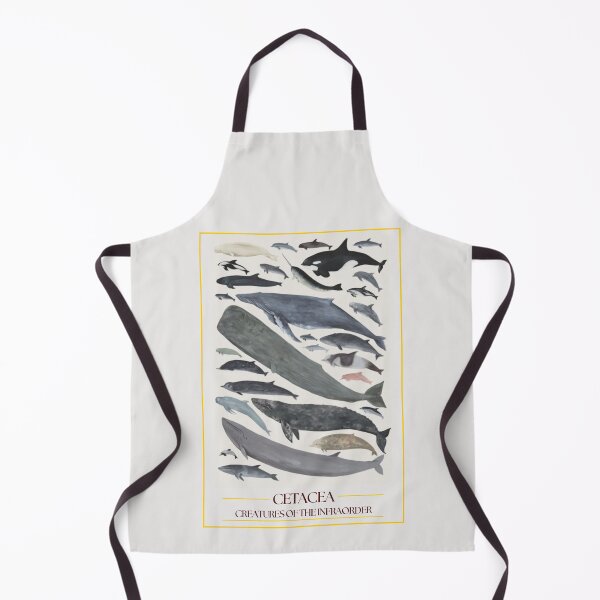 Item preview, Infra-order Cetaceans - redesign designed and sold by PatronesKawai.