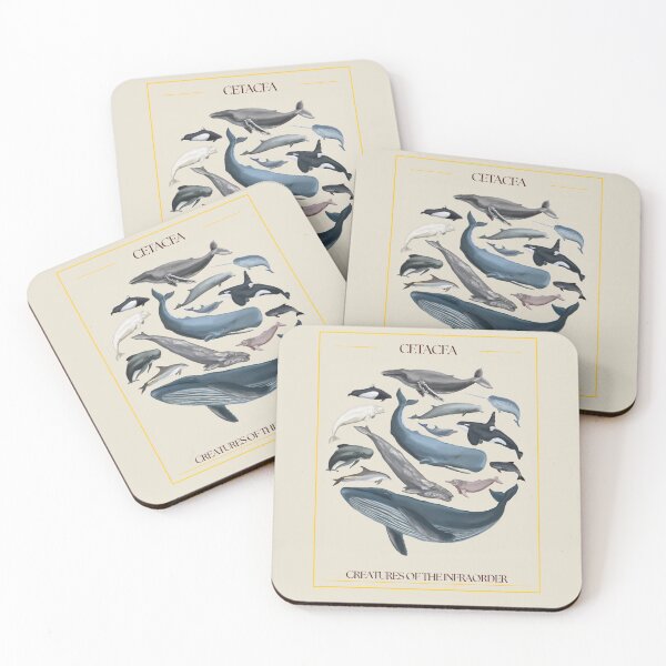 Item preview, Infra-order Cetaceans - redesign designed and sold by PatronesKawai.