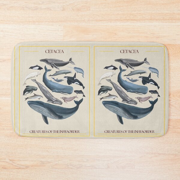 Item preview, Infra-order Cetaceans - redesign designed and sold by PatronesKawai.