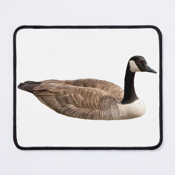 Item preview, Canada Goose designed and sold by kyra0nicole.