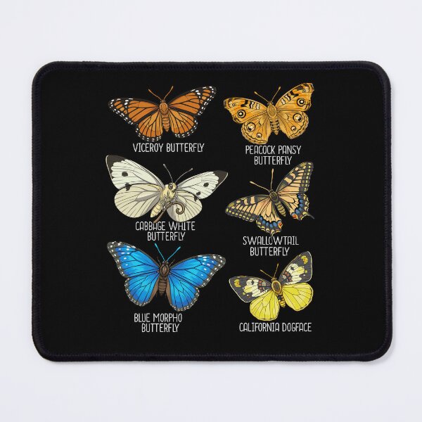 Item preview, Collection of Butterflies Species Insects Viceroy Butterfly designed and sold by DSWShirts.