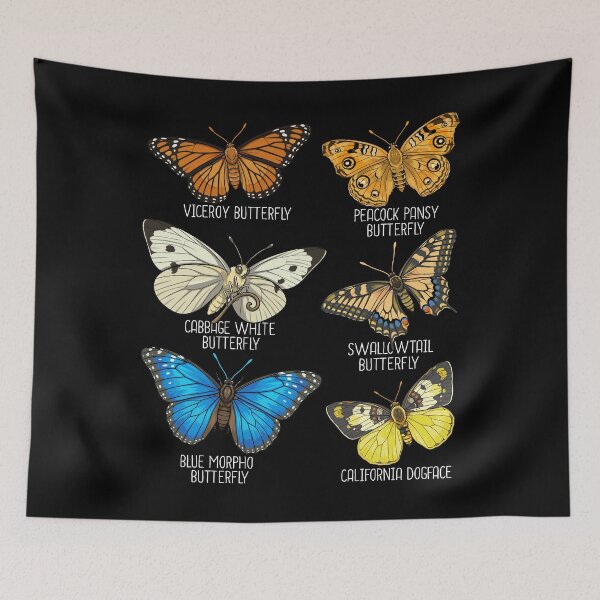 Item preview, Collection of Butterflies Species Insects Viceroy Butterfly designed and sold by DSWShirts.