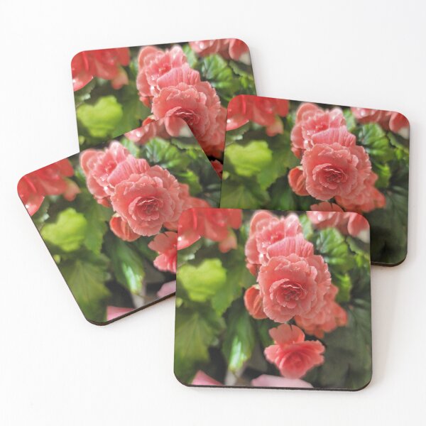 Item preview, Vibrant Pink Begonias in Full Bloom designed and sold by Isabeles Crafts.