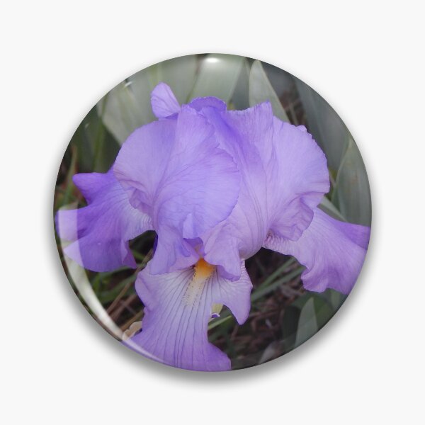 Artikelvorschau, Blaue Iris entworfen und verkauft von gistinker.