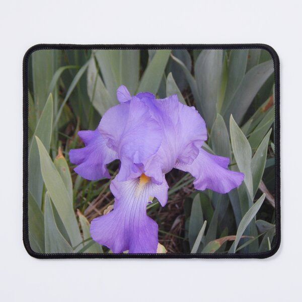 Item preview, Blue Iris designed and sold by gistinker.