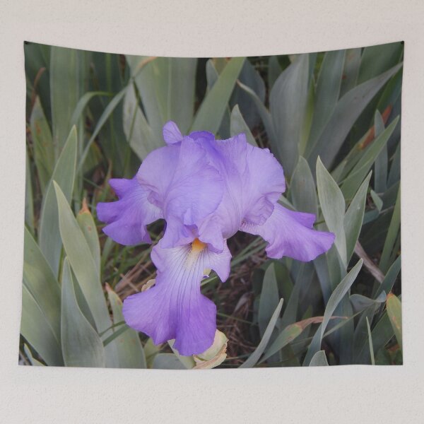 Item preview, Blue Iris designed and sold by gistinker.