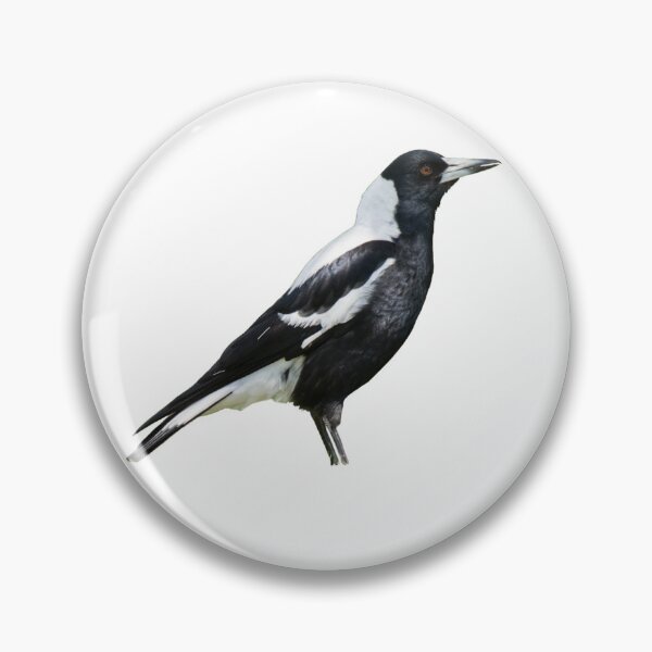 Item preview, Australian Magpie designed and sold by kyra0nicole.