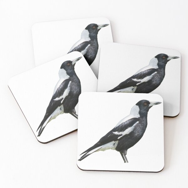 Item preview, Australian Magpie designed and sold by kyra0nicole.