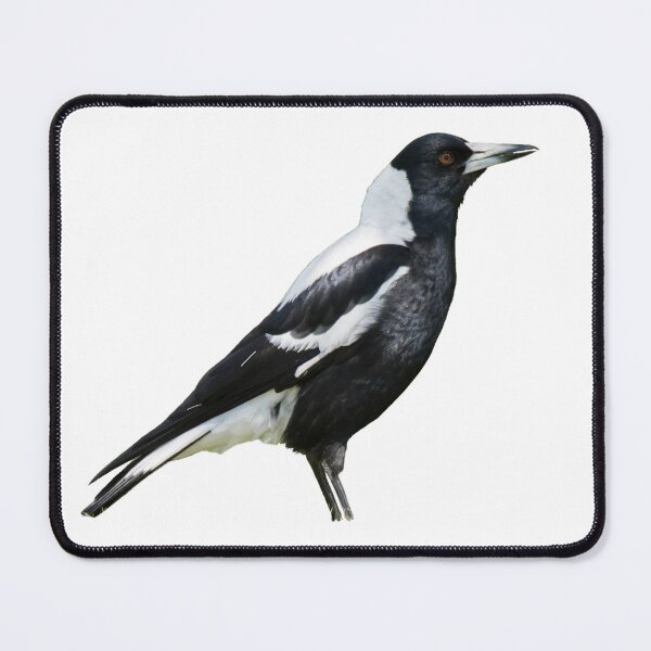 Item preview, Australian Magpie designed and sold by kyra0nicole.