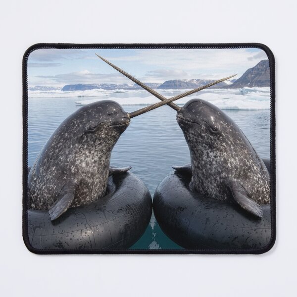 Item preview, Young Narwhals Play in Inner Tubes designed and sold by Tridentulus.