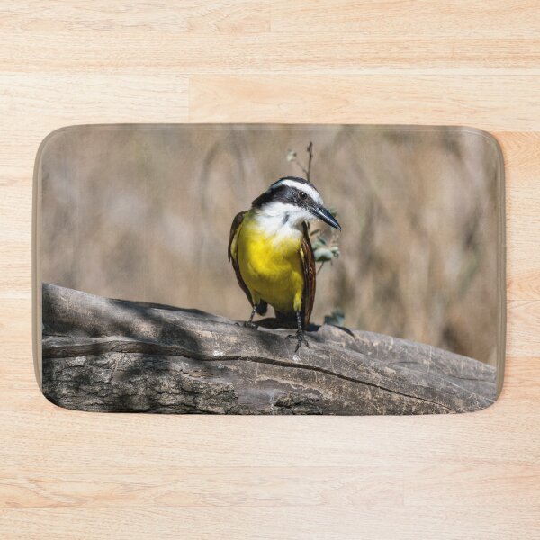 Item preview, Great Kiskadee Posing in the Sunlight designed and sold by Debra Martz.
