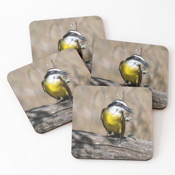 Item preview, Great Kiskadee Posing in the Sunlight designed and sold by Debra Martz.