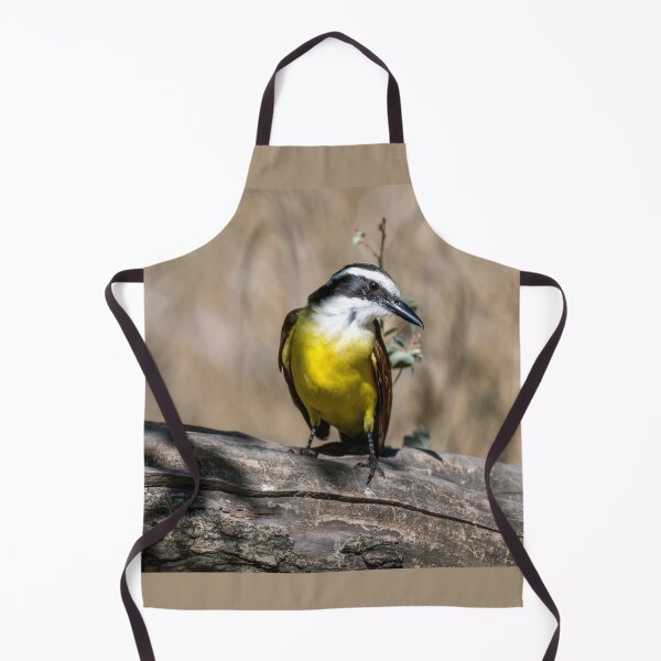 Item preview, Great Kiskadee Posing in the Sunlight designed and sold by Debra Martz.