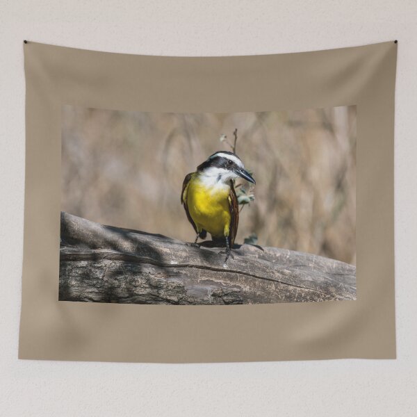 Item preview, Great Kiskadee Posing in the Sunlight designed and sold by Debra Martz.