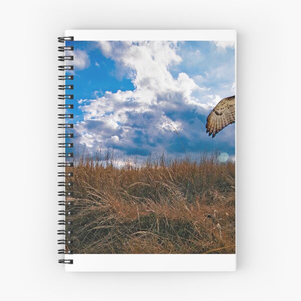 Item preview, Redtailed Hawk in Flight, Sorgham Meadow in Fall designed and sold by AMacGPhilly.