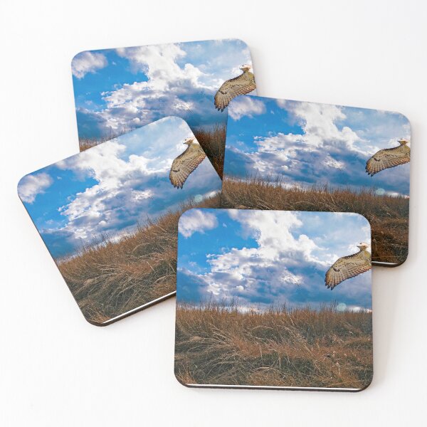 Item preview, Redtailed Hawk in Flight, Sorgham Meadow in Fall designed and sold by AMacGPhilly.
