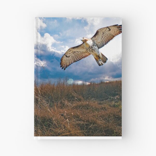Item preview, Redtailed Hawk in Flight, Sorgham Meadow in Fall designed and sold by AMacGPhilly.