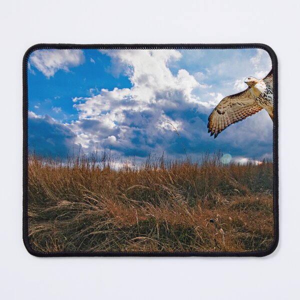Item preview, Redtailed Hawk in Flight, Sorgham Meadow in Fall designed and sold by AMacGPhilly.