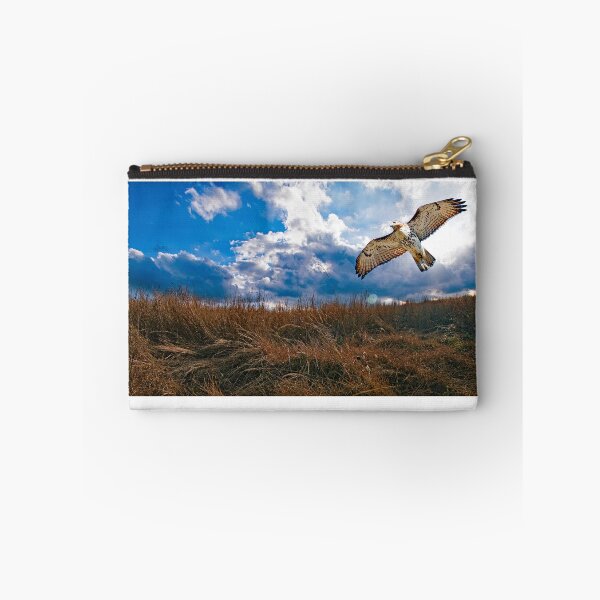 Item preview, Redtailed Hawk in Flight, Sorgham Meadow in Fall designed and sold by AMacGPhilly.