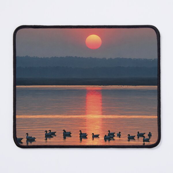 Item preview, DUCK SUNSET designed and sold by PHOTO STYLE.