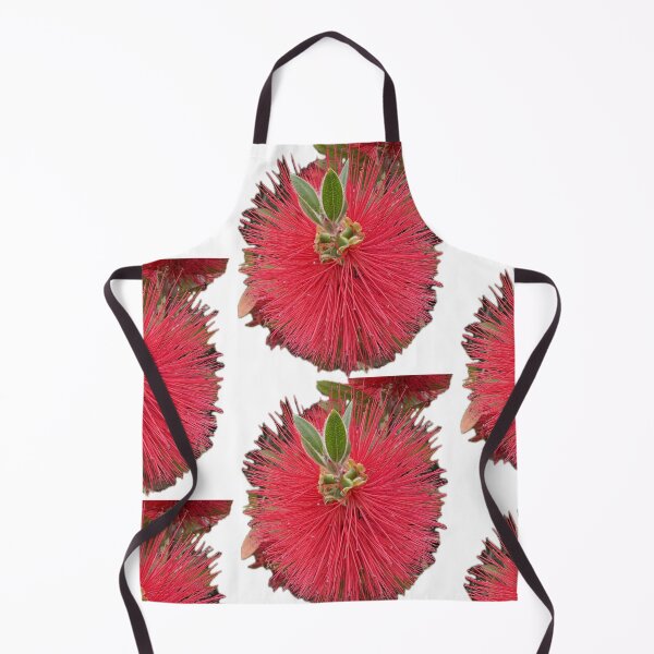 Item preview, Crimson Bottlebrush Bloom Isolated on White designed and sold by BalkanBloom.