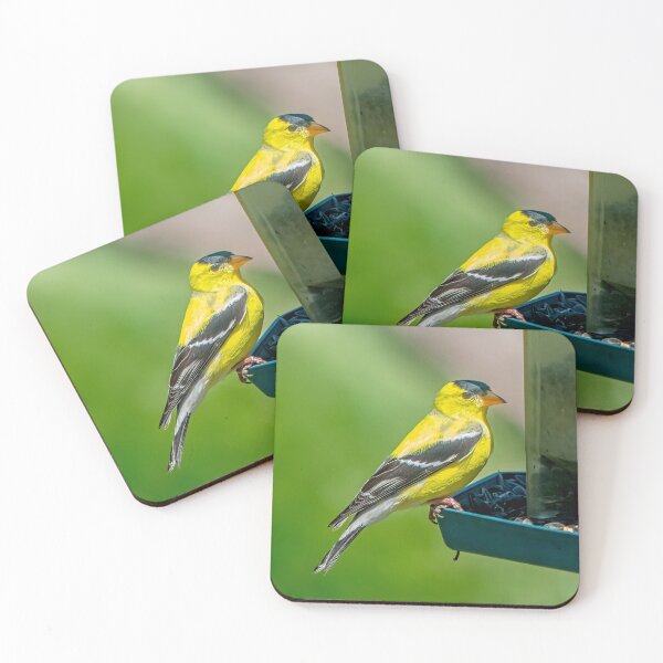 Item preview, Mister Goldfinch  designed and sold by Lanis Rossi.
