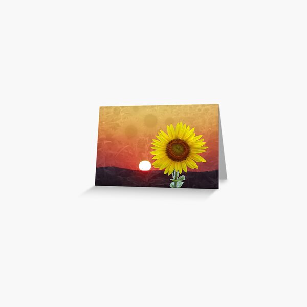 Here Comes The Sun Greeting Card