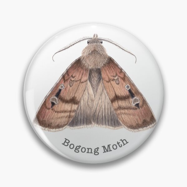 Item preview, Bogong Moth - Australian Insect designed and sold by Cheryl Hodges.