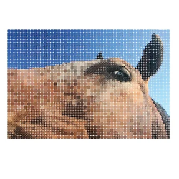 Artwork thumbnail, Horses by RMCMdesign