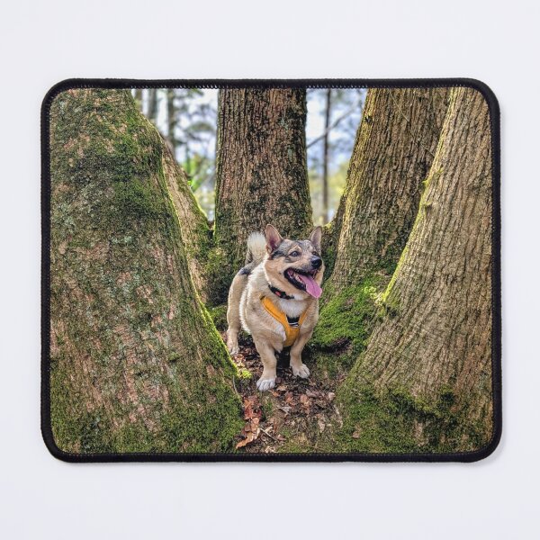 Item preview, Swedish Vallhund forest  designed and sold by TheVallhundStop.