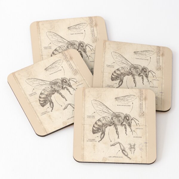 Item preview, Honey Bee Anatomical Blueprint - Vintage Science Art designed and sold by MarVan-Prints.