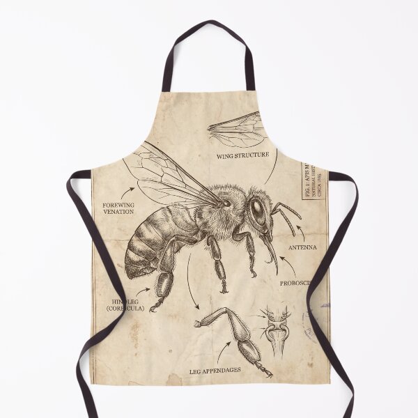 Item preview, Honey Bee Anatomical Blueprint - Vintage Science Art designed and sold by MarVan-Prints.
