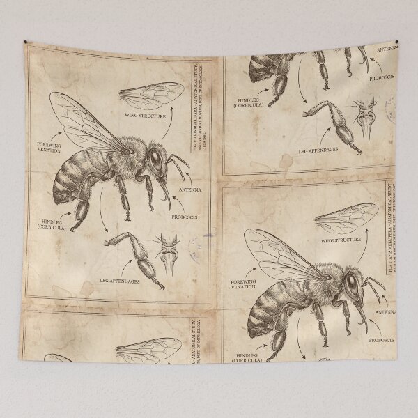 Item preview, Honey Bee Anatomical Blueprint - Vintage Science Art designed and sold by MarVan-Prints.