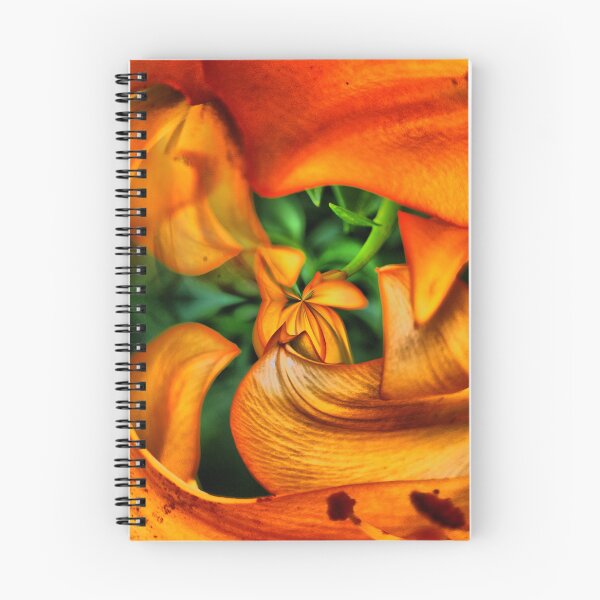 Item preview, Abstract ( 157 )  Lilium Orange designed and sold by Larry Davis.