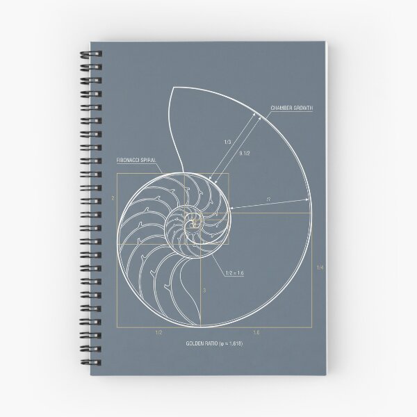 Item preview, Nautilus Shell Golden Ratio - Geometric Nature Art designed and sold by MarVan-Prints.